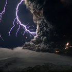 flora34343 thumbnail