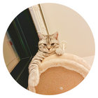kinoboke thumbnail