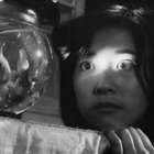 tnyaii thumbnail