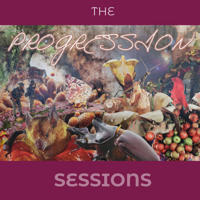 The Progression Sessions cover