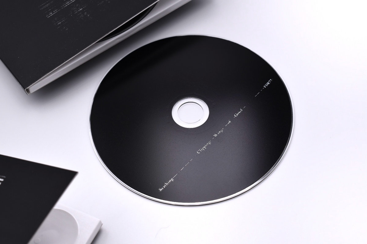 Clipping Wings Of Grief Scathing Flag Day Recordings