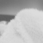 -lx thumbnail