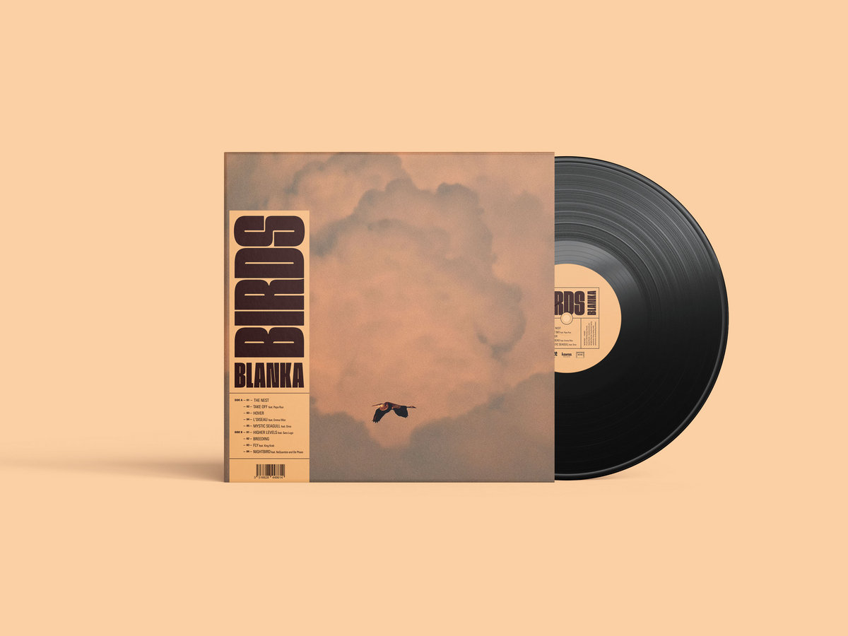 邦楽 BLAHRMY - A REPORT OF THE BIRDSTRIKE LP 邦楽 Blahrmy A Report of the Birdstrike BLAHRMY - A REPORT OF THE