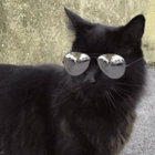 mr-door thumbnail