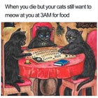 meow meow thumbnail