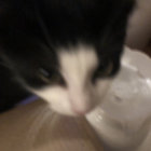 ducolovesit thumbnail
