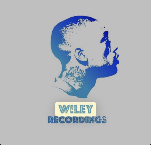 【保障できる】 Boom Bap WileyCeo | Wiley | 4 Vol アート・デザイン・音楽