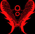 Exuvial photo