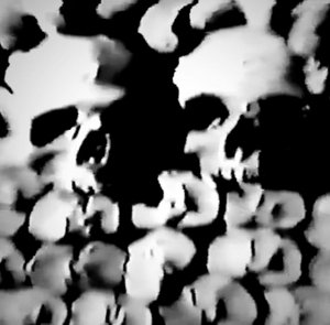 under the catacombs of paris — Photo