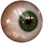 euphoricreduction thumbnail