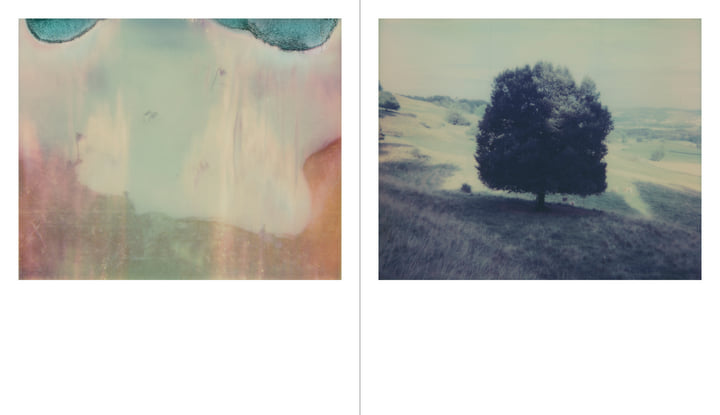 For A Fleeting Moment | Tomotsugu Nakamura | IIKKI