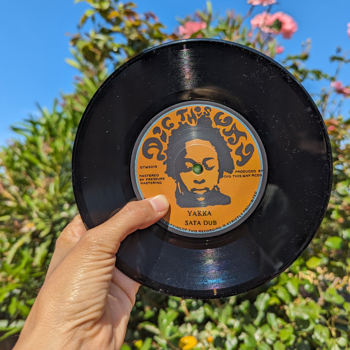 Dig This Way Records All Stars - Sata | Dig This Way Records