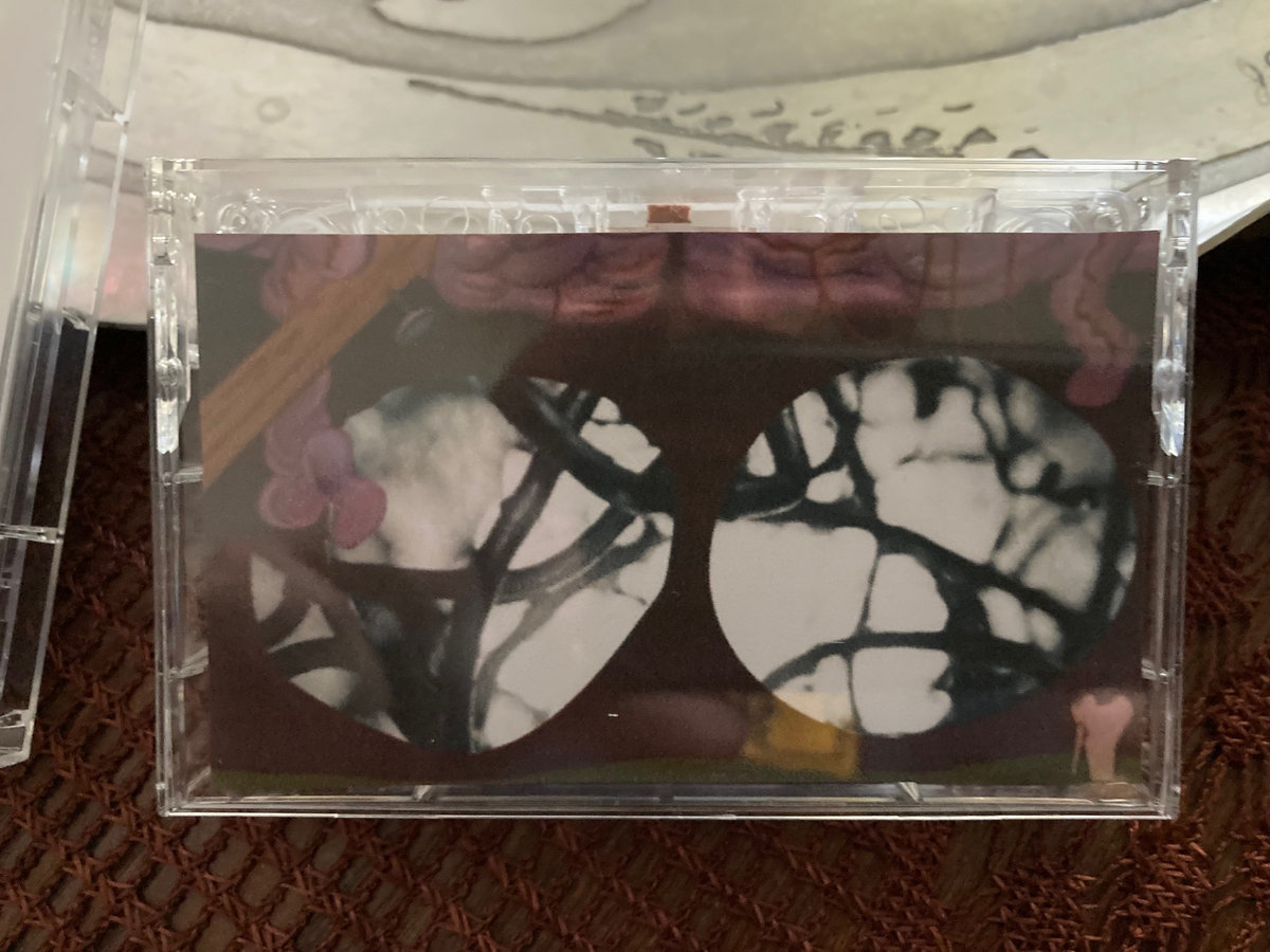 Snotnoze Saleem's SELECTED TRANSIENT WERKZ on LIMITED CASSETTE!
