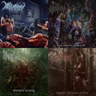 bleak_splendor thumbnail