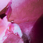 Azuma thumbnail