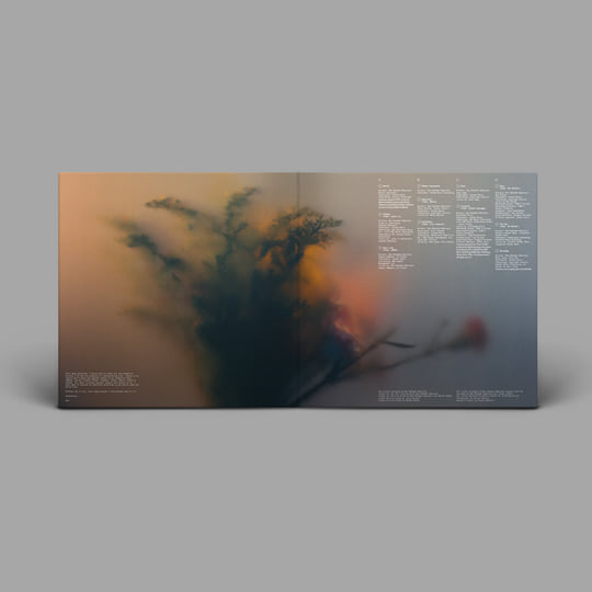 Bloom | Ben Böhmer