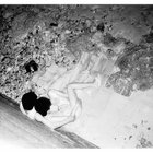 Michael Ho thumbnail