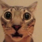 itunprofessional thumbnail