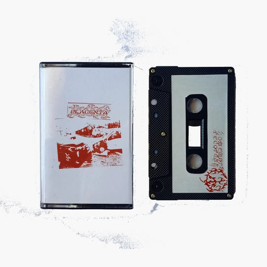 Placenta Corporation © | Placenta