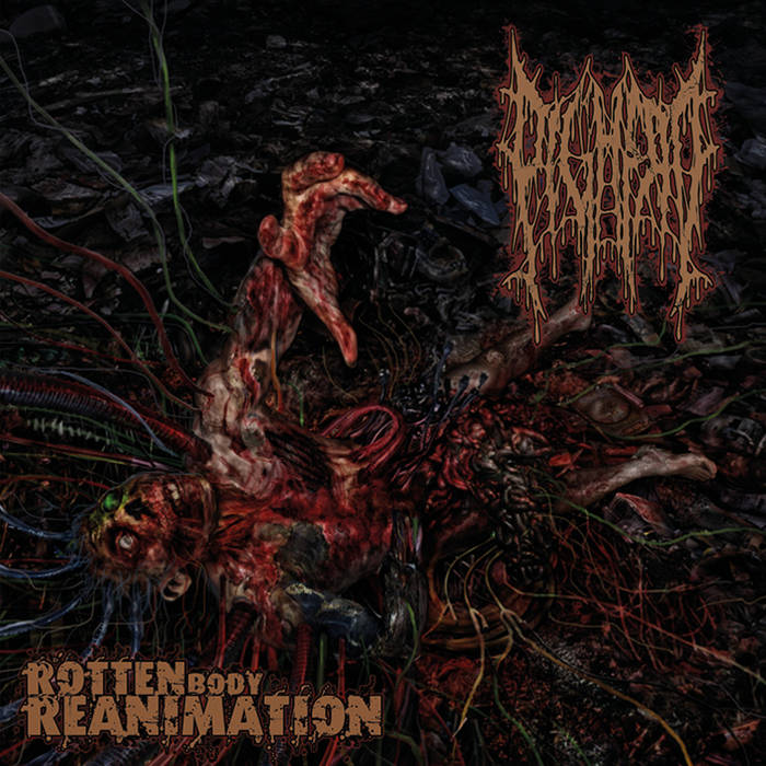 Rotten Body Reanimation – 2012