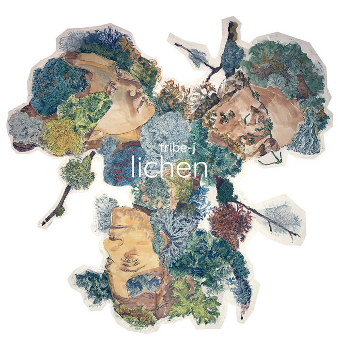 Lichen | Tribe-J