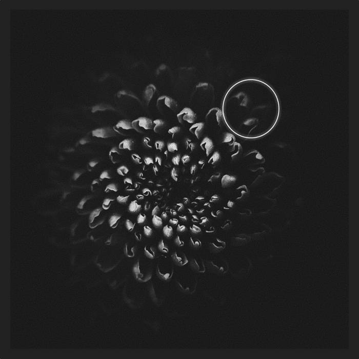 Steady State cover