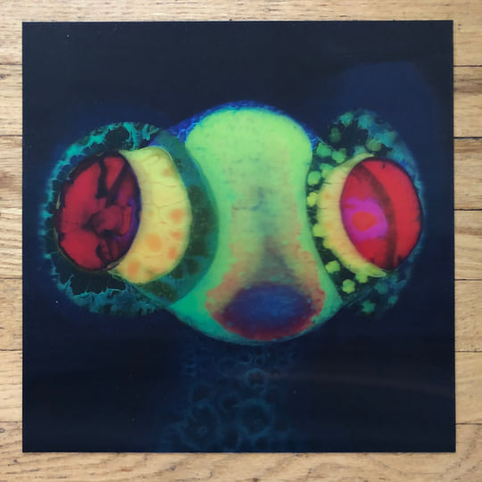 輸入LP Osees Sorcs 80 CF151 CASTLE FACE /00260 Osees - Sorcs 80 on Vinyl LP, CD | Rough Trade - (Black LP