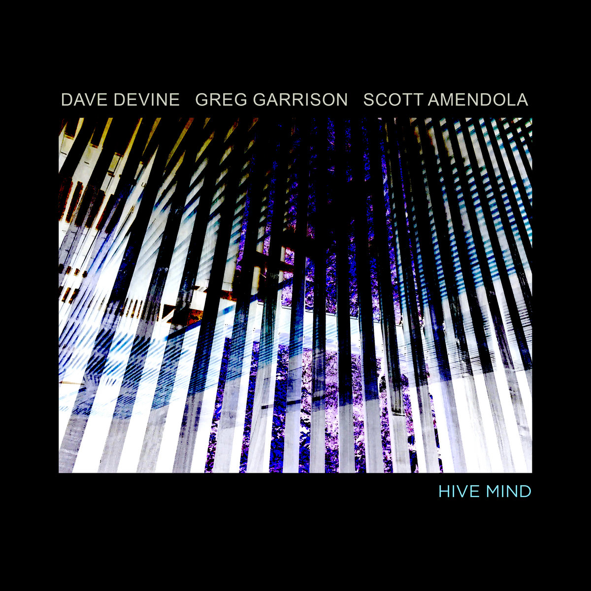 Hive Mind | Dave Devine featuring Greg Garrison & Scott Amendola | Dave ...