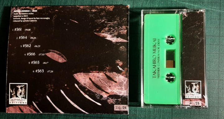 Neither Confirm Nor Deny | Takahiro Mukai | Aphelion Editions