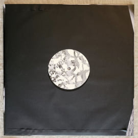 Limited Edition 12" Vinyl, image 3
