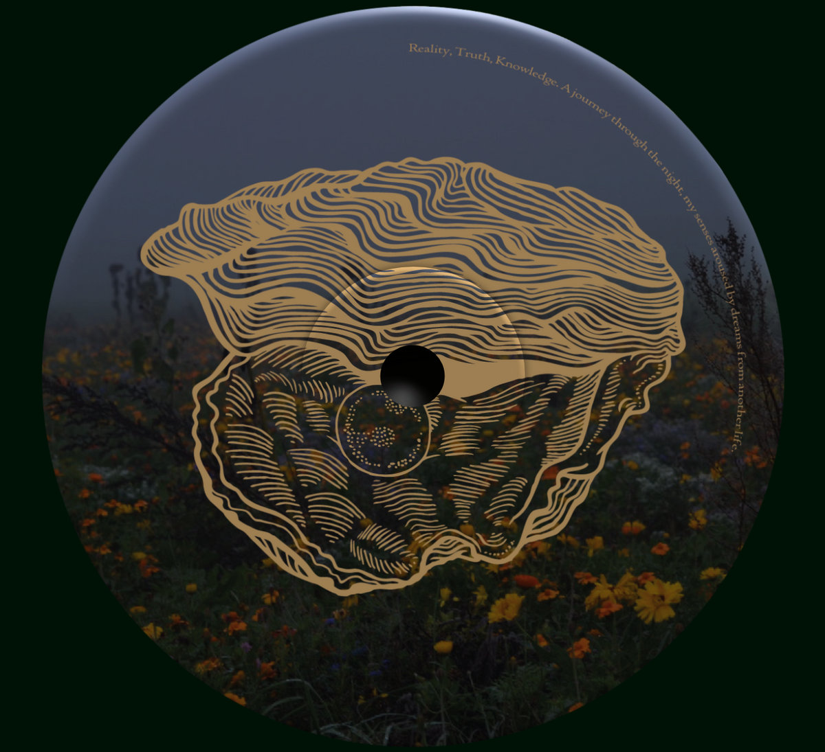 Lander CULT Limited “iss.2” / CULT myDEFINITION part II | SW. | Kalahari Oyster Cult