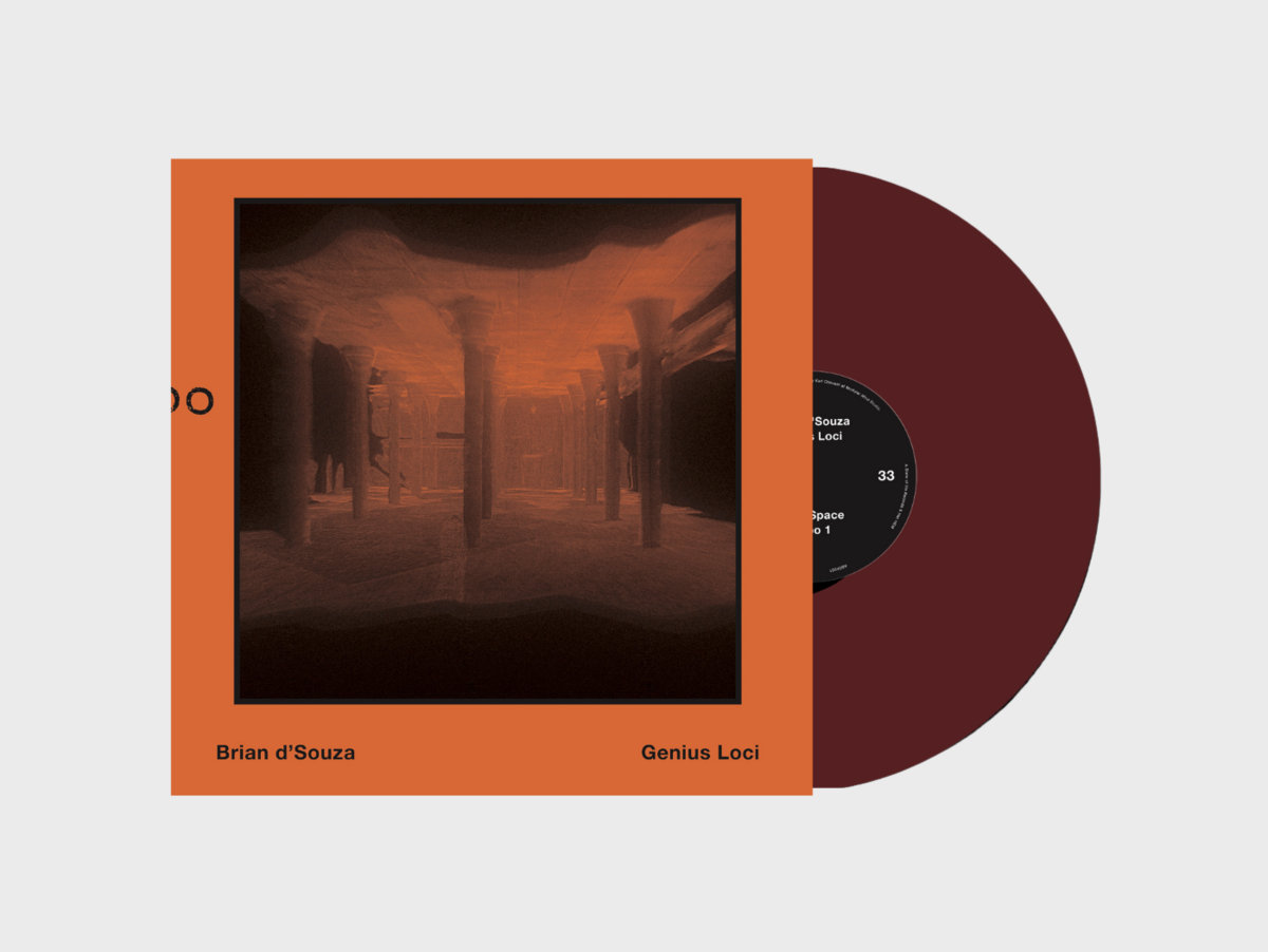 Genius Loci | Brian d'Souza | A State Of Flo