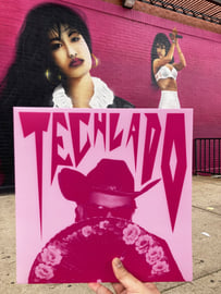 TECHLADO Limited Edition LP, image 2