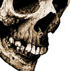 Without Shadow thumbnail