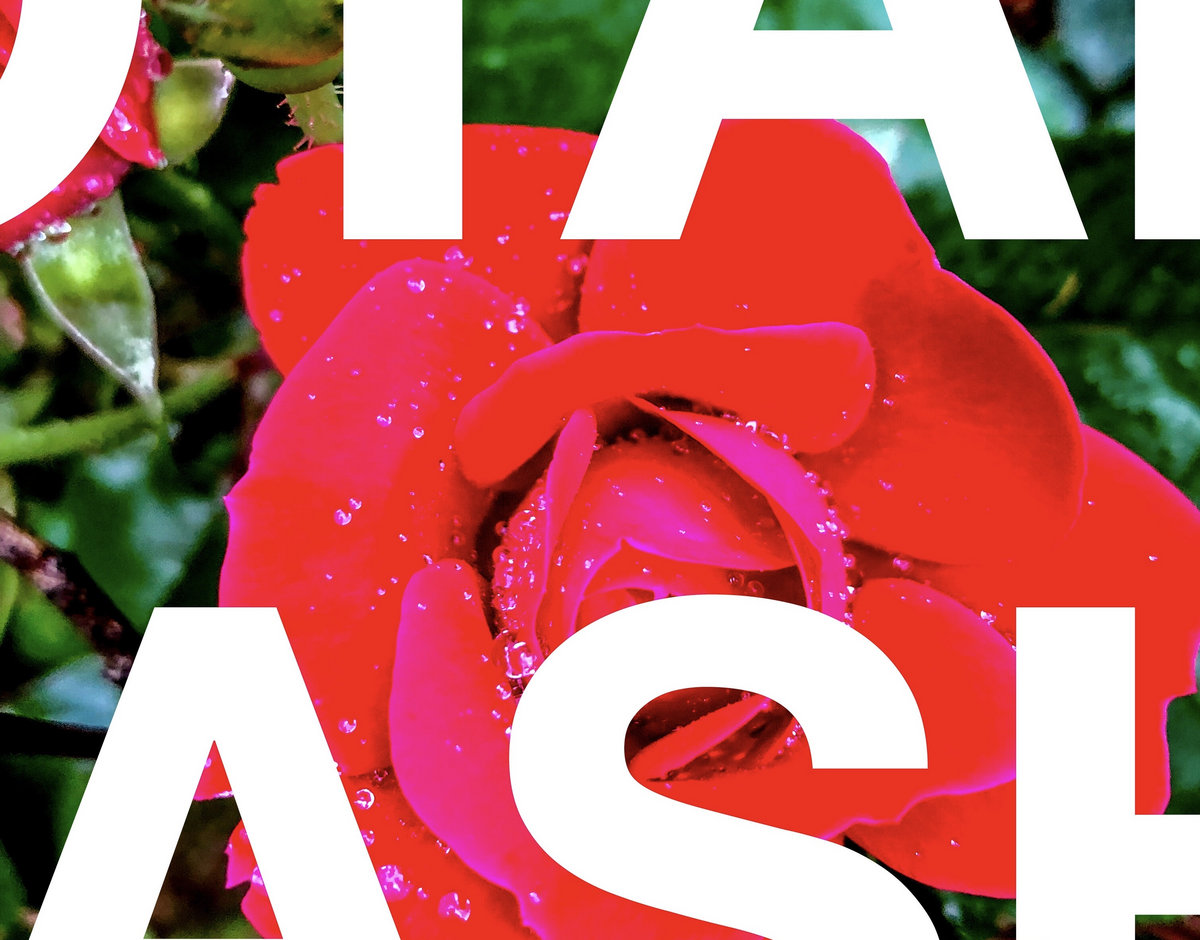 TRASH OR BE TRASHED intelligence overview