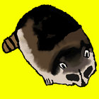 FilthyCasual thumbnail