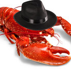 donlobstros thumbnail