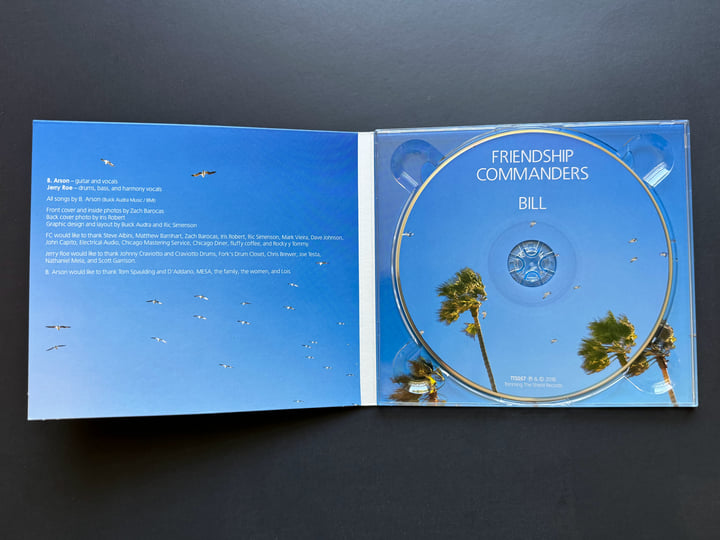 BILL - The Steve Albini Mixes | Friendship Commanders
