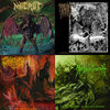 その他 Evolving Towards Extinction [CD] Evolving Towards Extinction | Near Death Condition | Unique
