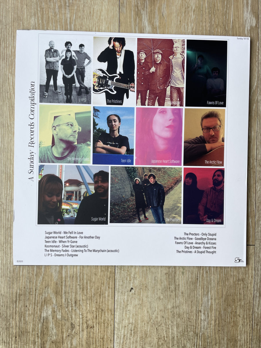 Shelter The Proctors