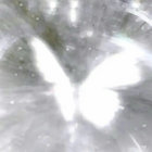 leo thumbnail