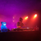 TanzBär thumbnail