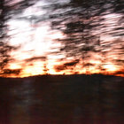 r_f thumbnail