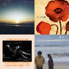 Lamp 一夜のペーソス Dusk to Dawn LP レコード Dusk to Dawn (2023) / 一夜のペーソス | Lamp | Botanical House