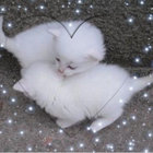 vanillarainbow thumbnail