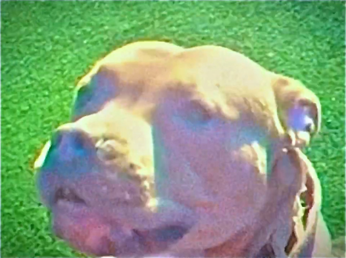 Harvest | November Day