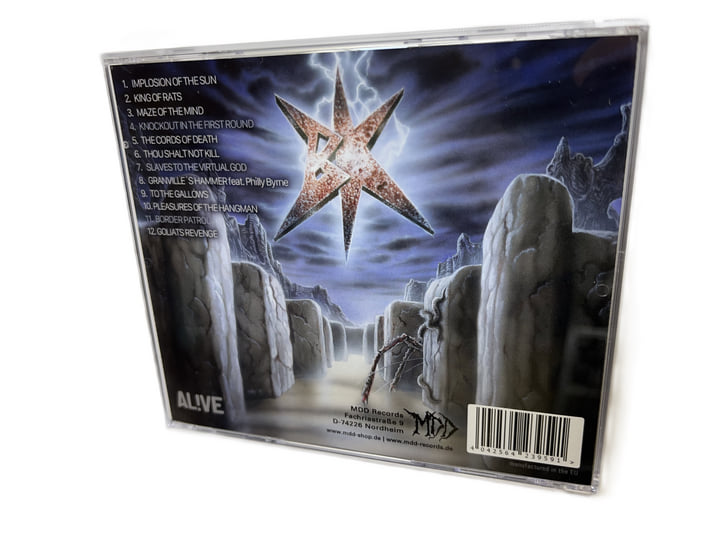 Rapture of the Mind レコード a3338149391_10.jpg