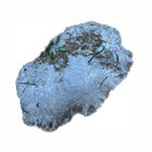 wyla001 thumbnail