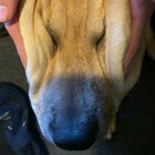 asher thumbnail