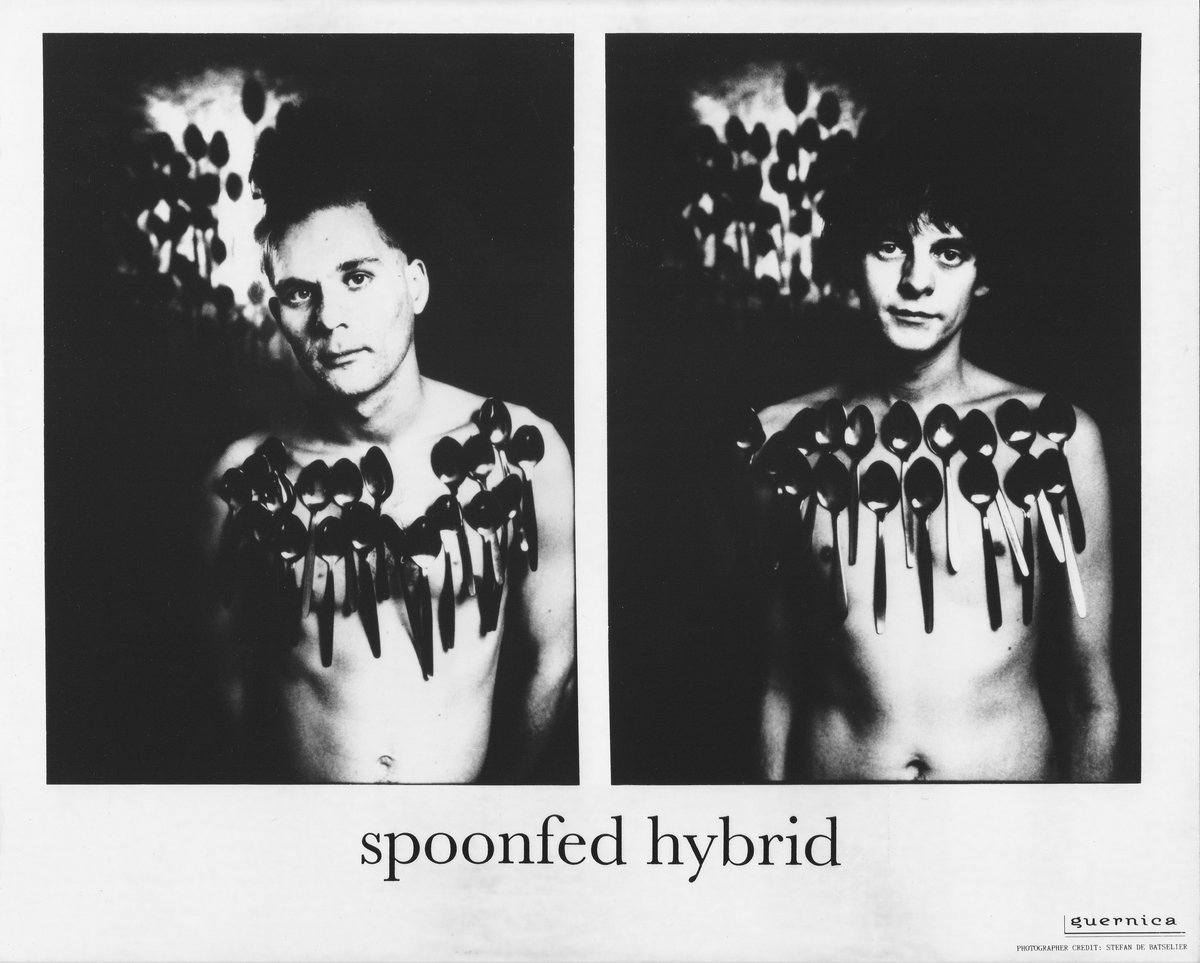 Spoonfed Hybrid (30th Anniversary Edition) | Spoonfed Hybrid